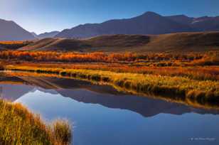 Pond and fall color near Waterton-1453